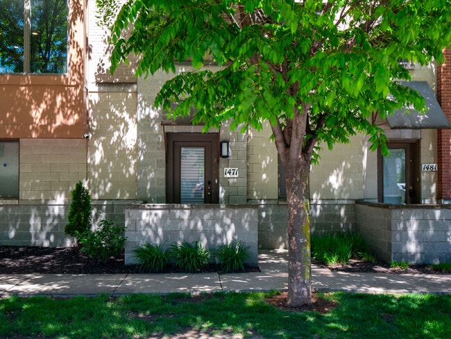 1471 Lindazzo Ave in Cleveland, OH - Building Photo - Building Photo