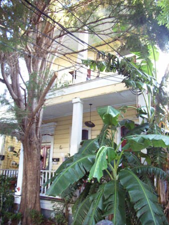 232 Bermuda St in New Orleans, LA - Building Photo - Building Photo