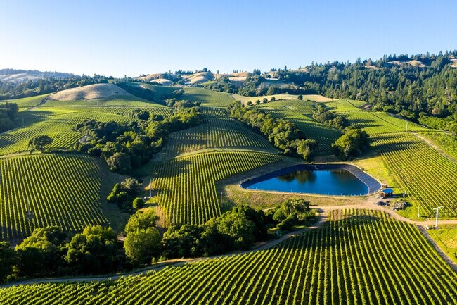 1600 Atlas Peak Rd in Napa, CA - Building Photo - Building Photo