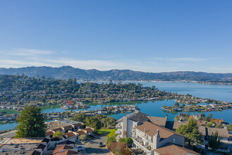 Vista Belvedere in Tiburon, CA - Foto de edificio - Building Photo