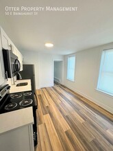 50 E Bringhurst St in Philadelphia, PA - Building Photo - Building Photo