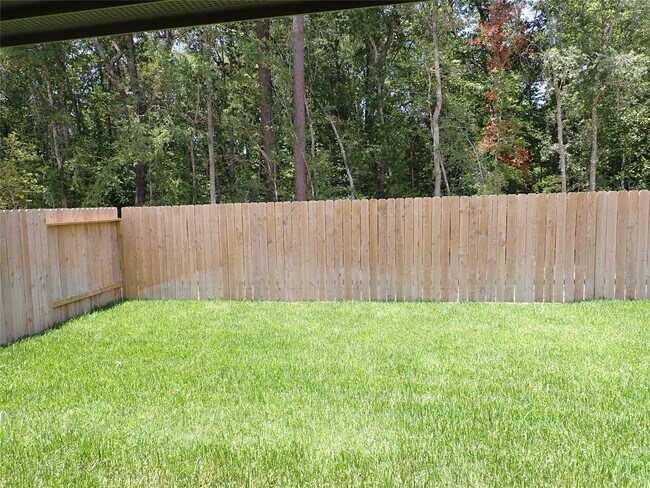 14986 Cypress Holw Dr in New Caney, TX - Building Photo - Building Photo