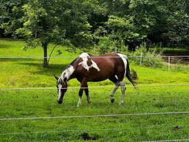 181 Benton St in Bowling Green, KY - Building Photo