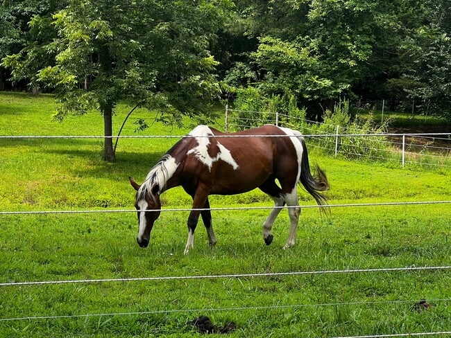property at 181 Benton St
