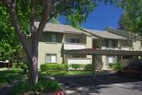 Foxworth Apartments in Carmichael, CA - Building Photo - Building Photo