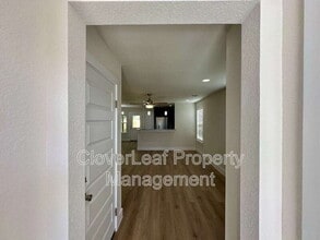 728 Abigail Aly in San Antonio, TX - Building Photo - Building Photo