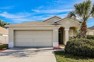 12813 Early Run Ln in Riverview, FL - Building Photo