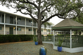 Treaty Oaks Apartments in Austin, TX - Building Photo - Building Photo