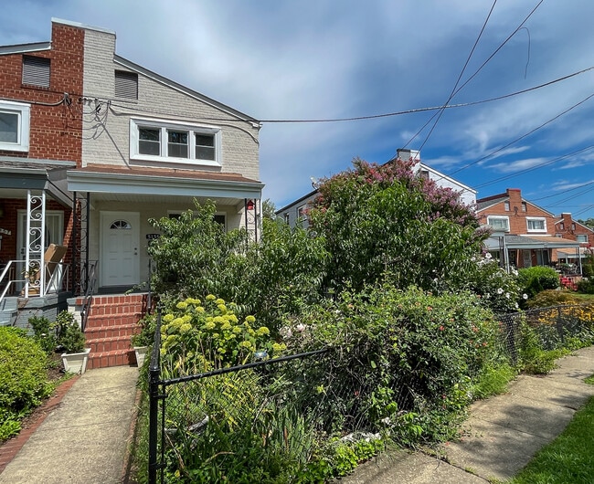5155 7th St NE in Washington, DC - Building Photo - Building Photo