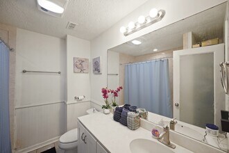 411 Pickford Dr in Katy, TX - Building Photo - Building Photo