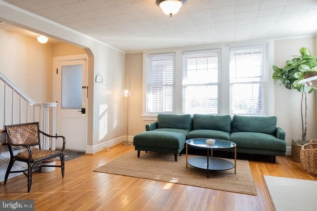 property at 313 Frederick St