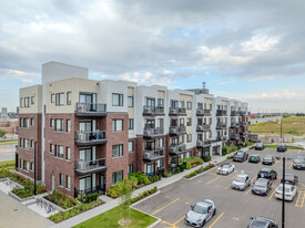 60 Sky harbour Dr in Brampton, ON - Building Photo