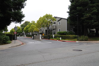 Shadow Woods in Oakland, CA - Foto de edificio - Building Photo