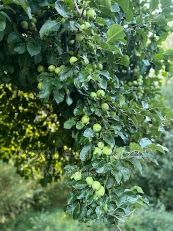 2115 U.S. Hwy 2 E in Kalispell, MT - Building Photo - Building Photo