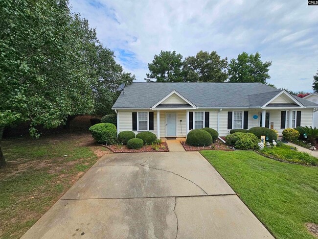 126 Fair Haven Way in Chapin, SC - Building Photo - Building Photo
