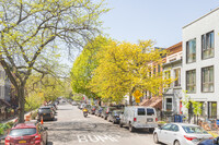 443 Bainbridge St in Brooklyn, NY - Foto de edificio - Building Photo