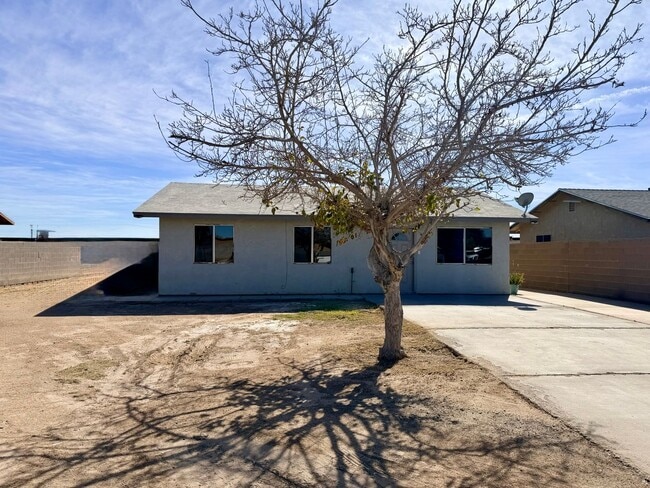 245 C St in San Luis, AZ - Building Photo - Building Photo
