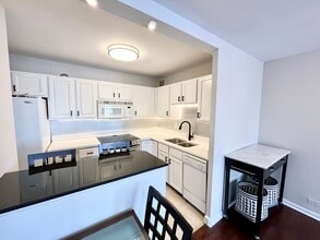 100 E Walton Pl in Chicago, IL - Building Photo - Building Photo