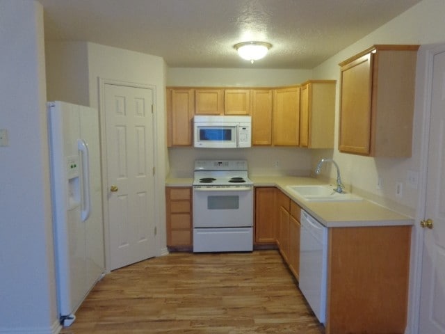 651 Saddlebrook Dr in Payson, UT - Building Photo - Building Photo