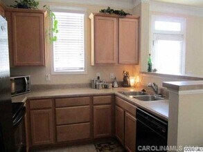 16934 Summers Walk Blvd in Davidson, NC - Building Photo - Building Photo