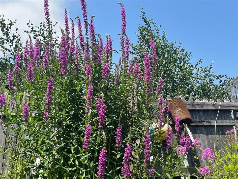 558 Connecticut Ave in Norwalk, CT - Building Photo