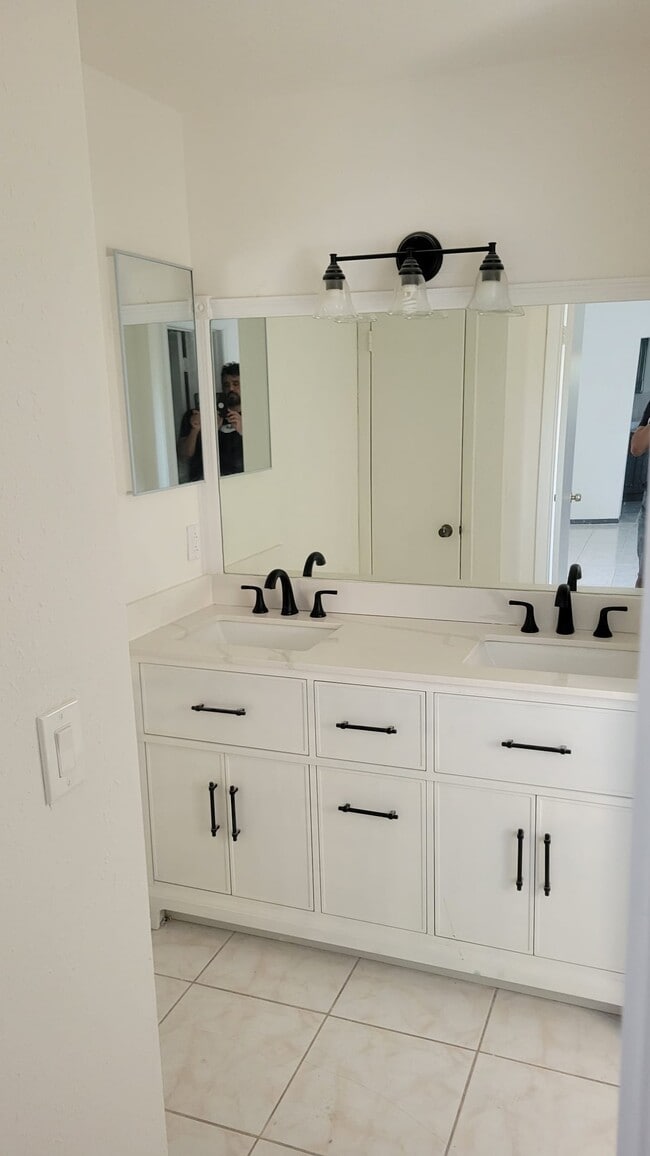 property at 117 Chicago Woods Cir
