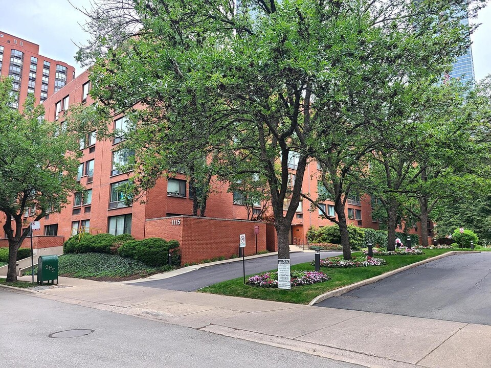1115 S Plymouth Ct in Chicago, IL - Foto de edificio