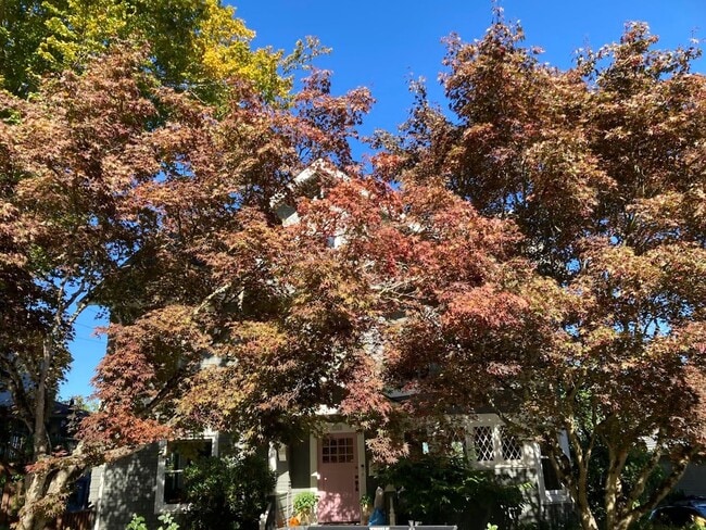 3309 NW Thurman St in Portland, OR - Building Photo - Building Photo