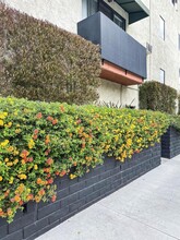 Las Casitas Apartments in North Hollywood, CA - Foto de edificio - Building Photo