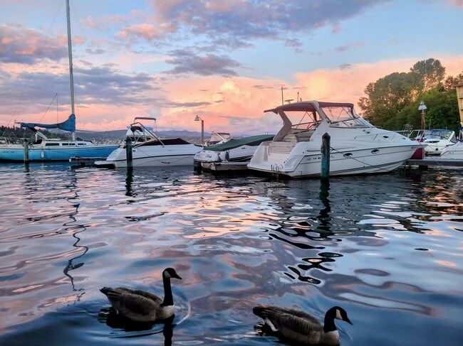 property at 9500 Rainier Ave S