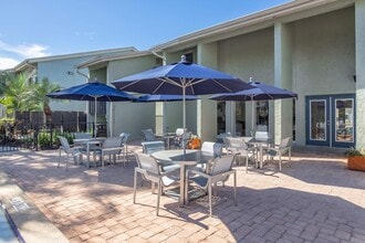 Palmera at Gandy in St. Petersburg, FL - Building Photo - Building Photo