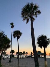 1682 Seascape Cir in Tarpon Springs, FL - Building Photo - Building Photo