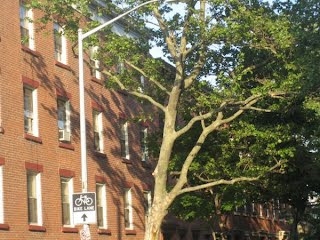 51-53 Dean St in Brooklyn, NY - Foto de edificio