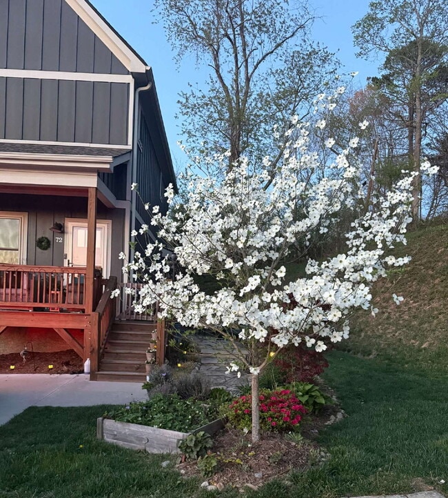 72 Wheeler Rd in Weaverville, NC - Building Photo - Building Photo