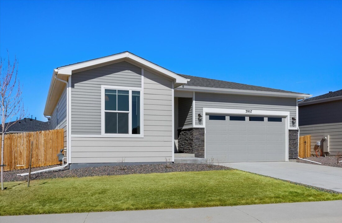 3957 Castle Vis Dr in Castle Rock, CO - Foto de edificio