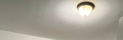 13841 Forest Ave in Dolton, IL - Building Photo - Building Photo