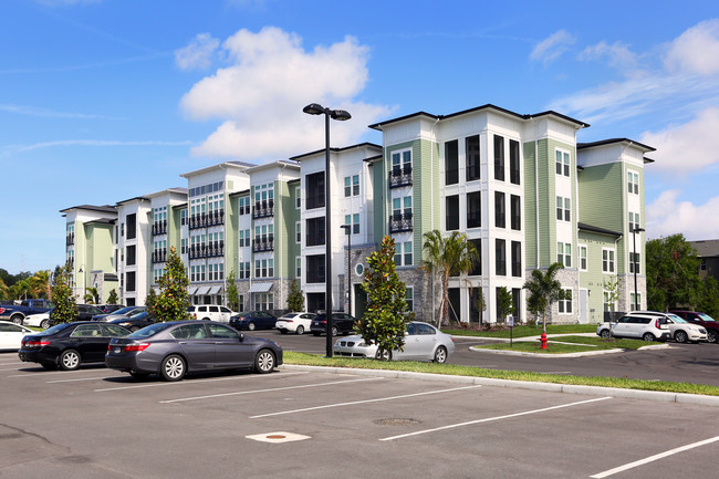 The Addison on Long Bayou in Seminole, FL - Building Photo - Building Photo