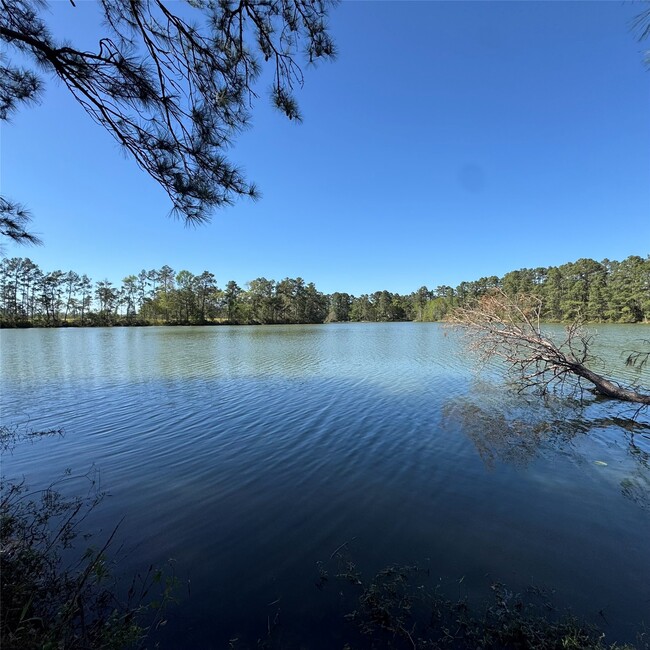 property at 6269 Alder Crk Dr