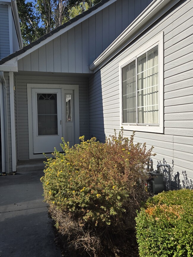 1028 Aspen Grove Cir in Minden, NV - Building Photo - Building Photo