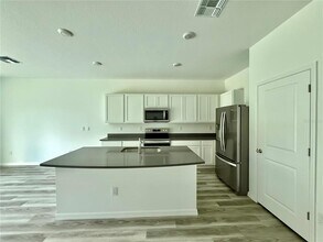 11406 Velvet Apricot Dr in Land O Lakes, FL - Building Photo - Building Photo