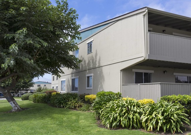 Garden Court in Salinas, CA - Foto de edificio - Building Photo