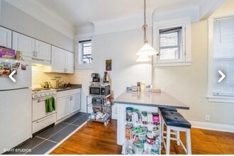 313 S Maple Ave in Oak Park, IL - Building Photo - Building Photo