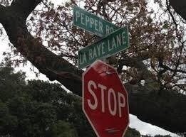 701 La Raye Ln in Petaluma, CA - Building Photo - Building Photo