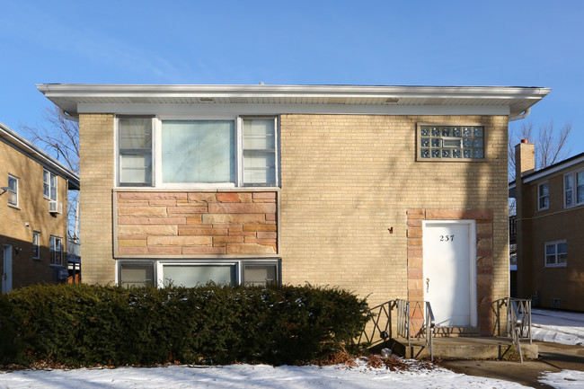 237 S Hale St in Addison, IL - Building Photo - Building Photo