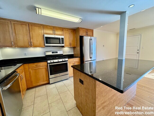 146 Independence Dr in Chestnut Hill, MA - Building Photo - Building Photo