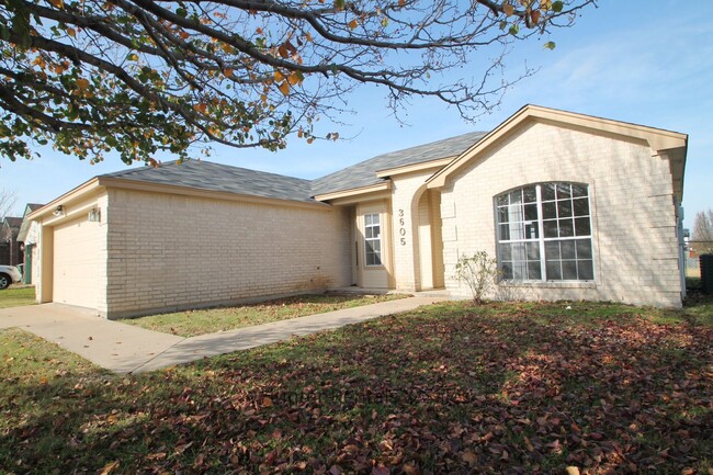 3605 Rainforest Ln in Killeen, TX - Foto de edificio - Building Photo