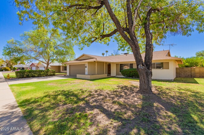 1049 E Carter Dr in Tempe, AZ - Building Photo - Building Photo