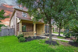 19614 Salado Creek Ct in Cypress, TX - Building Photo
