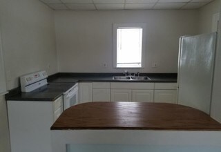 333 Bingham St, Unit 1 in Lansing, MI - Building Photo - Building Photo