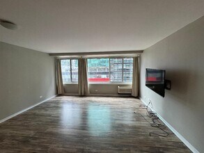 211 E Ohio St in Chicago, IL - Building Photo - Building Photo